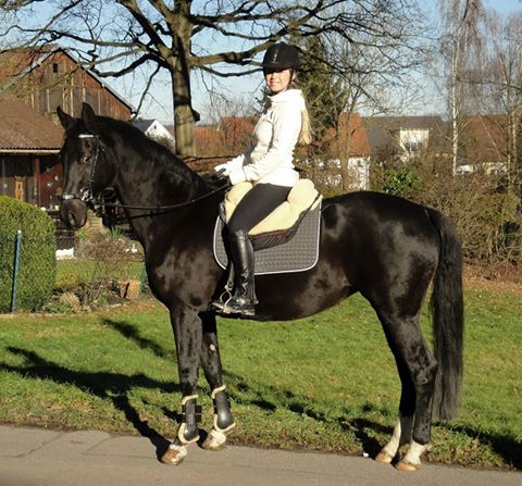 Lea Ranki und "Shakira"